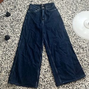bdg the a wide leg jean
